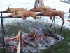 catering-aniversari-si-inaugurari-022