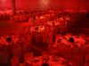 catering-aniversari-si-inaugurari-062