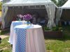 catering-aniversari-si-inaugurari-100