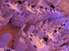 catering-aniversari-si-inaugurari-117
