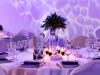 catering-aniversari-si-inaugurari-123